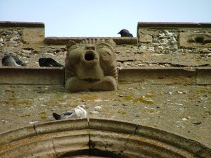 Looking up: residents of the tower.