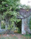 In the garden: guru, mystic and teacher.