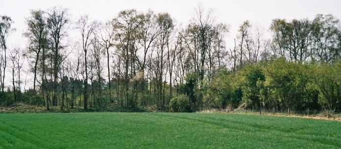 In the corner of a field, the site of St Mary.