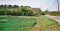 The hedge marks the ancient lane up to the site of St Mary.