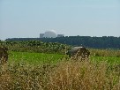 Sizewell B brooding