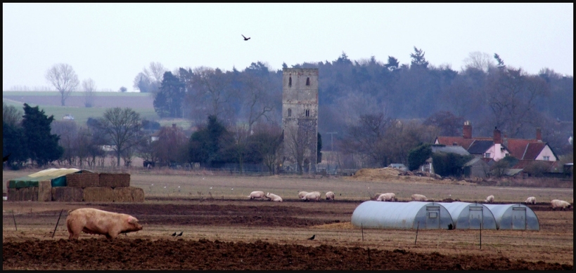 Little Livermere: A Suffolk Pastorale