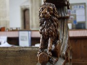 lion