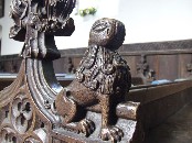lion