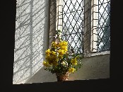 light and flowers