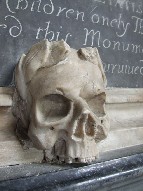 skull