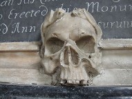 skull