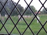 quarries and graves