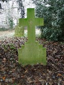 green cross
