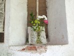 porch flowers
