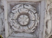 Tudor rose
