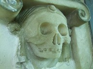 skull