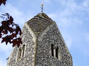 Salvin's tower
