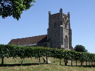Friston