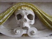 skull