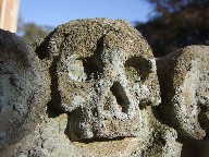 skull
