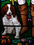 St Hubert's dog