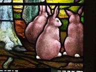 rabbits