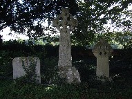 the Holbrook dead