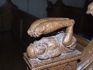 sciapod