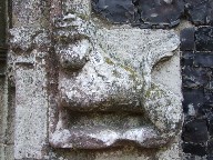 lion headstop