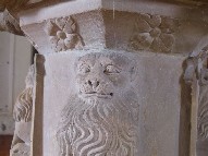 lion