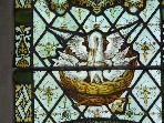 the pelican in her piety