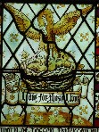 the pelican in her piety
