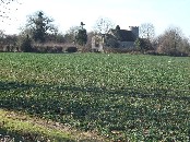 in the fields