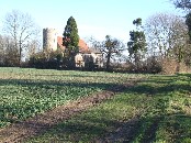 in the fields