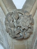 ballflower and trinity