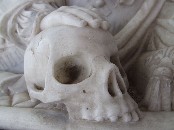 Jermyn skull