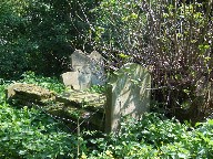 a corner of a Suffolk churchyard