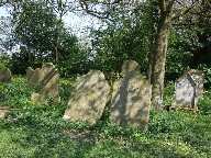 a corner of a Suffolk churchyard