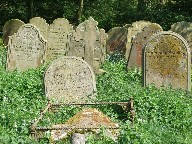 a corner of a Suffolk churchyard