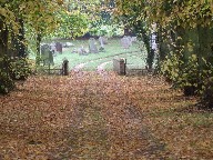 the Shimpling carriageway