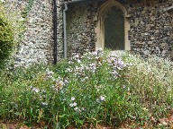 Shimpling, Suffolk