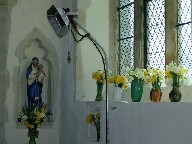 BVM, daffs and triffid