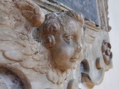 cherub