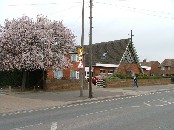 St Mark in the Spring