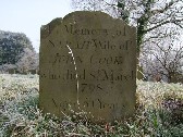 Sarah wife of John Cook