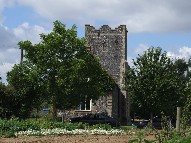 Tattingstone Wonder