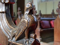 elegant fowl