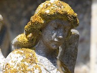 lichened to an angel