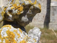 lichened to an angel