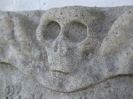 skull