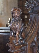 lion
