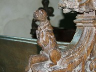 bear