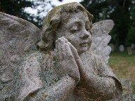 lichened to an angel