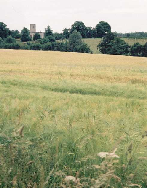 All Saints, Ellough, photographed from the site of St Mary, Willingham.